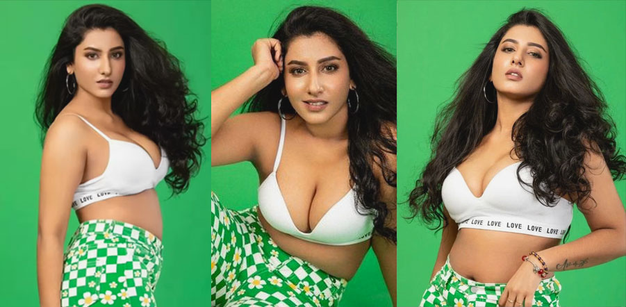 నటి విష్ణు ప్రియకు కలిసి వచ్చిన వివాదం