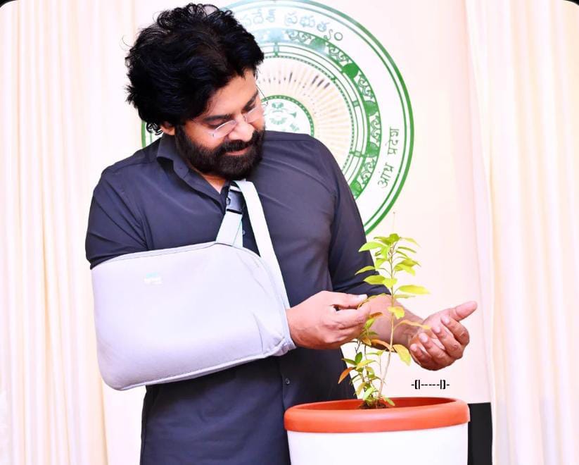 అరుదైన మొక్కకు పేరు పెట్టిన పవన్ కళ్యాణ్!