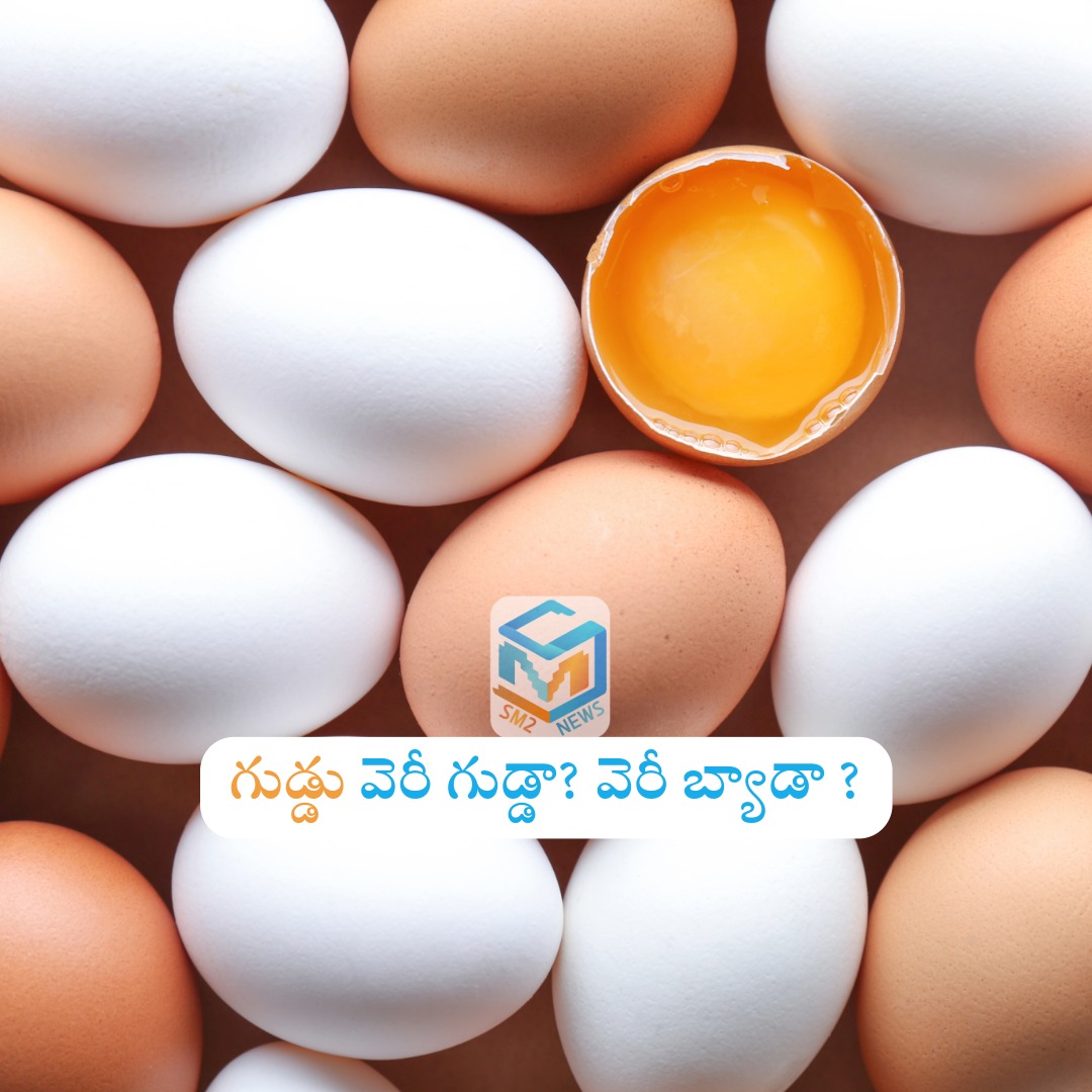 Egg: గుడ్డు వెరీ గుడ్డా? వెరీ బ్యాడా ?